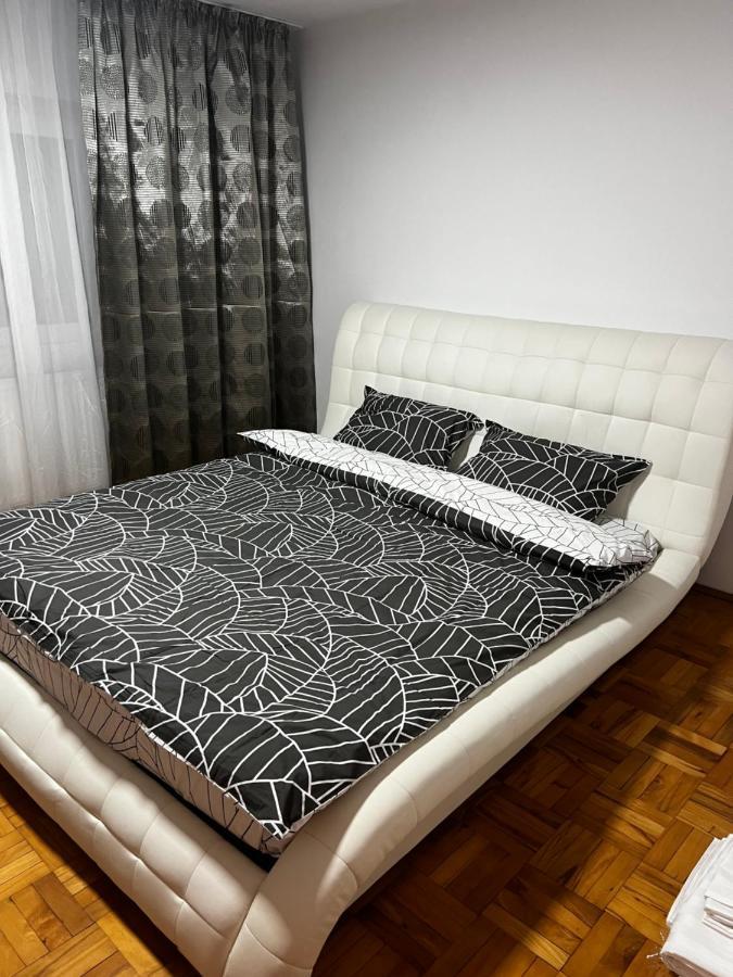 Mona Apartment Taxi#Airport #Parking#Bucharest#Therme Otopeni Dış mekan fotoğraf