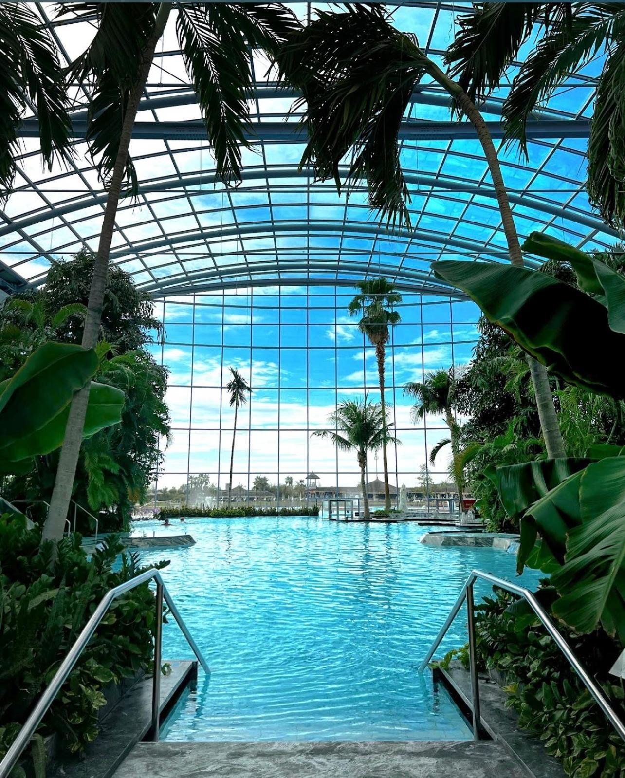 Mona Apartment Taxi#Airport #Parking#Bucharest#Therme Otopeni Dış mekan fotoğraf